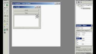 Come creare Flooder in visual basic 6