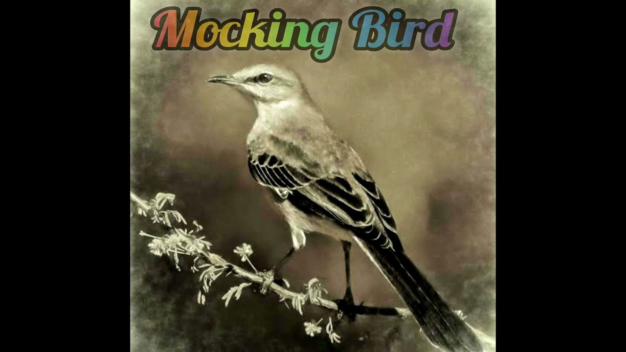 Luxury SA - Mocking Bird (Official Audio)
