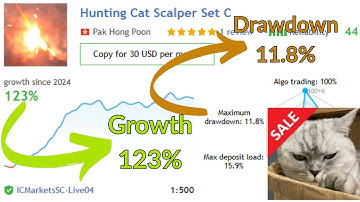 Best Scalping EA for MT4 – Hunting Cat Scalper 3.0 + Sets | 123% Gain & Low Drawdown!