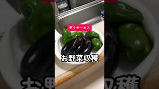 【高齢者向け】夏の最強テッパンイベント！盛り上がり必須の楽しい企画まとめ
