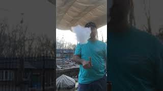 Pearamon and Pear Berry Quick Review