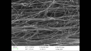 Zooming to a single multi-walled carbon nanotube (CNT) with scanning electron microscope (SEM)
