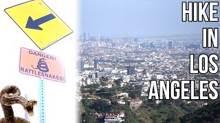 DANGER: RATTLESNAKES | Hiking Runyon Canyon