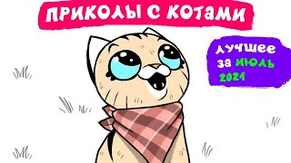 Приколы с котами. ЛУЧШЕЕ ЗА ИЮЛЬ 2021 | Мемозг