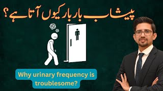 Worried about urine problems? Understanding and overcoming urinary frequency and overactive bladder.