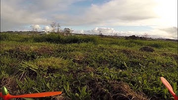 Turnigy SK450 afternoon flight part 2