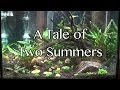 A Tale of Two Summers