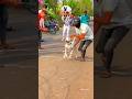 kolhapur dog race || dog res || Dog racing kolhapur || #shorts