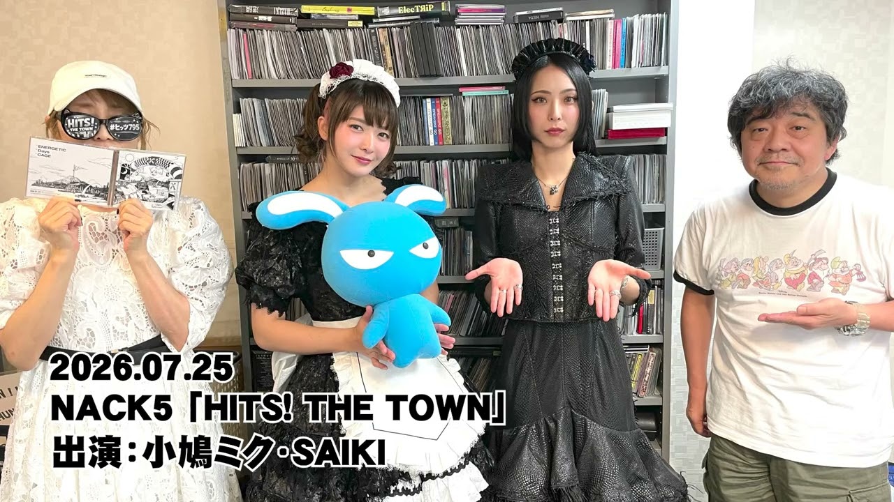 激レア！！BAND-MAID 小鳩ミク ピック2枚セット 46971-35-