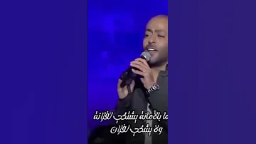 باي باي تامر عاشور 