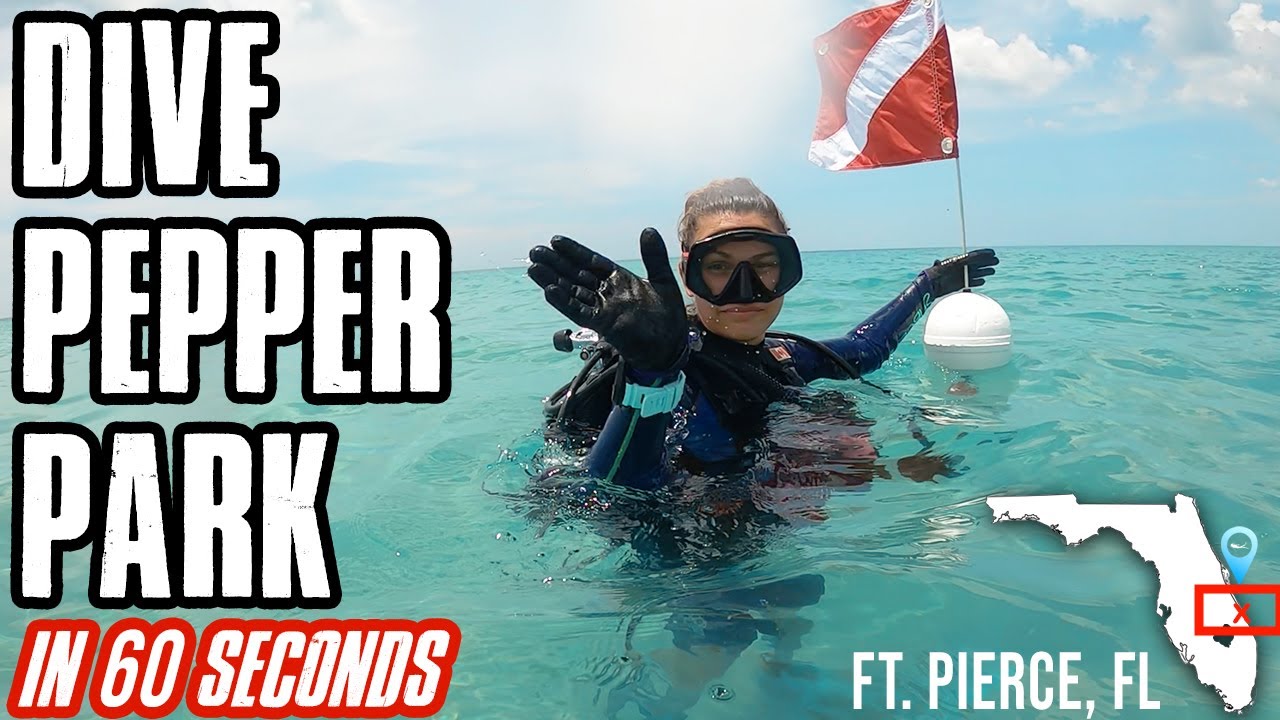 Pepper Park Ft Pierce Beach Dive Down to 60 YouTube