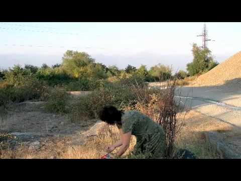 ბგერა. აუდიობლოგი. marika lapauri