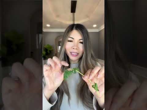 Cilantro hack when