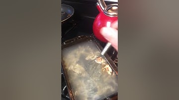 How to make glue from sinew