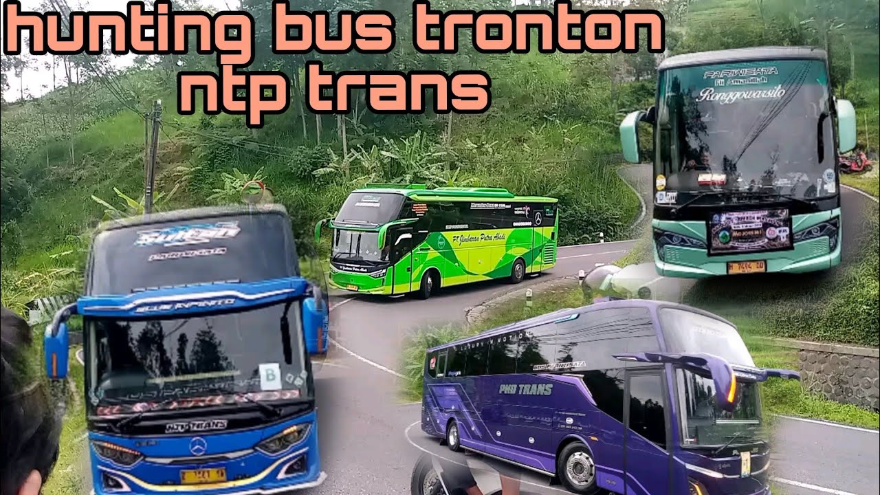 Hunting bus tronton nya ntp trans
