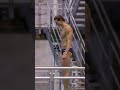 These dives are pushing me to my limit