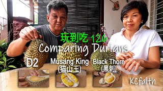 Comparing Musang King Durian, Black Thorn Durian and D2 Durian. Which is better?