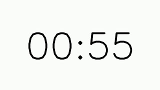 55 Second Digital Timer