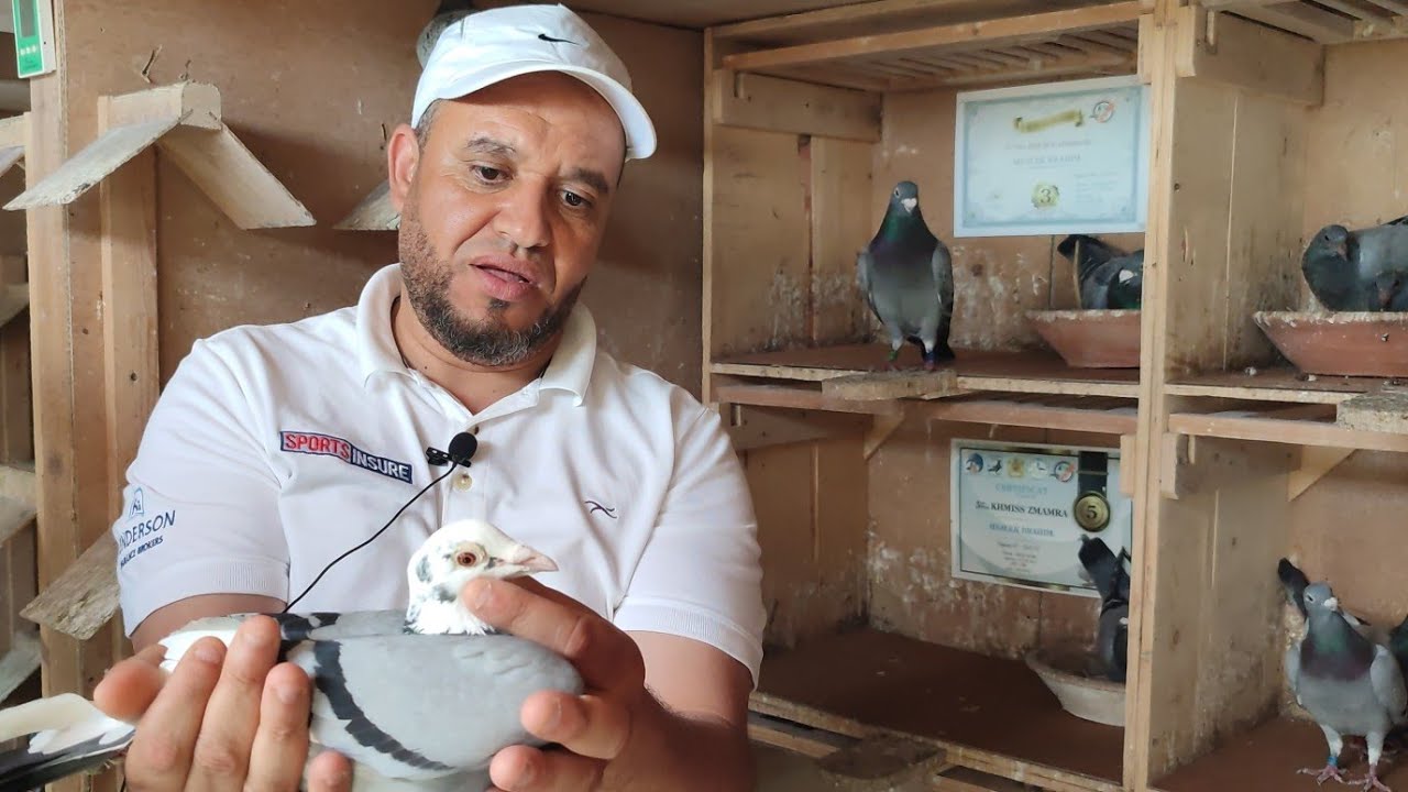 Замечательный визит и празднование с великими героями, братьями по пути