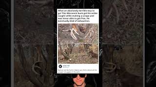 Tragic Bucks Struggle