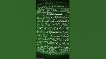 البلد.علاء عقل تلاوة هادئة تريح القلوب والنفوس