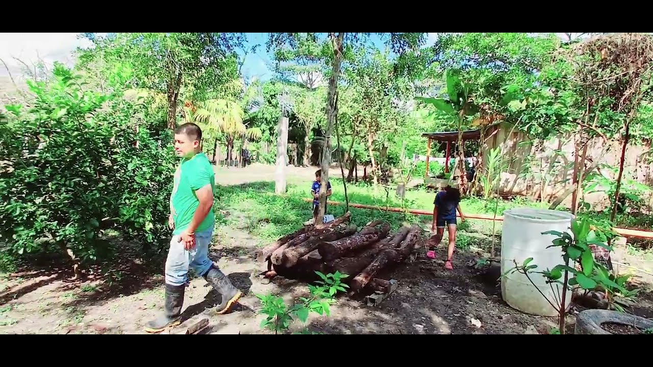 ‼️Вот чем Лестер занимается в свой выходной, посмотрите, как всё складывается.