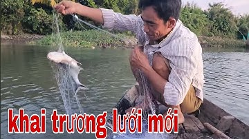 Khai Trương Tay Lưới Tôm Có Khác Quá Bén Cá Tôm Cả Nhà Ơi # SĂN BẮT ĐỒNG THÁP #