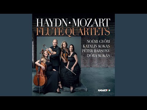 String Quartet in D Major, Op. 76 No. 5, Hob. III:79 (Arr. N. Győri for Flute & Strings) : IV....