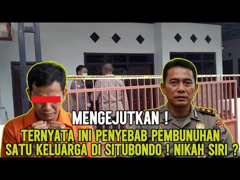 VERBLUFFENDE ONTDEKKING! De verborgen schoonheid van een zeldzame boomstam eindelijk onthuld in de