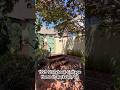 1929 Storybook Cottage in Berkeley, CA π‘