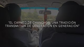 TESIS: "El Carneo de chanchos, una tradición transmitida de generación en generación".