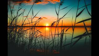 ROOT CHAKRA HEALING with Soft Hang Drum Music screenshot 3