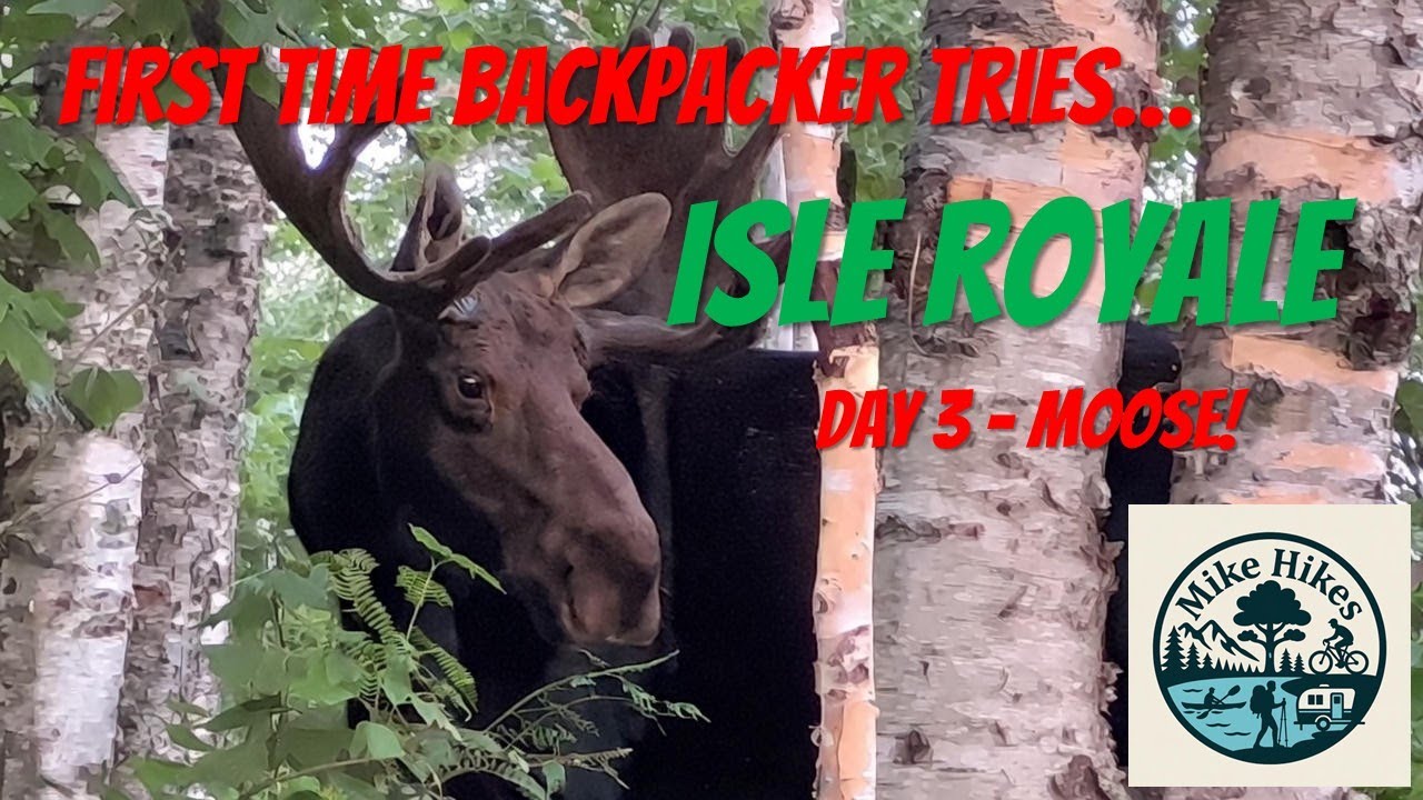 Isle Royale - First Time Backpacker | Day 3 MOOSE!
