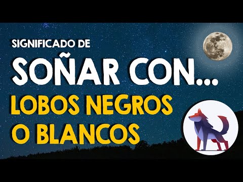 ¿Qué significa soñar con lobos negros o blancos? 🐺 Diferentes estados y situaciones 🐺