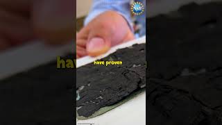 Unwrapping the Herculaneum Scrolls #shorts #discovery