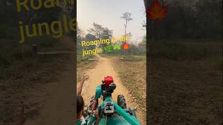 roaming in the jungle #first #farming #my #automobile #agriculture #viral #funny #comedy #shorts