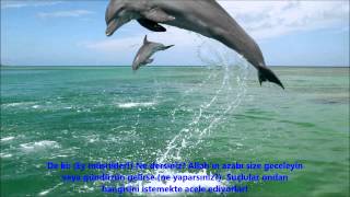 YUNUS-(YÛNUS)-SURESİ-Ebubekir Şatiri-Abu Bakr Al Shatri