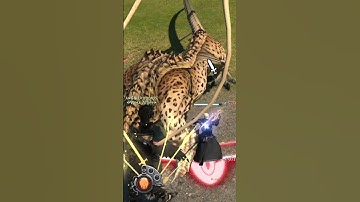 #FFXIV: Use Your Chocobo Companion!