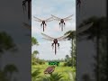The Sky's First Predator Had No Mercy