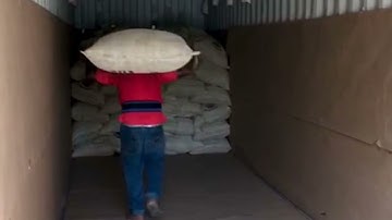 Cocoa Beans - Loading Containers