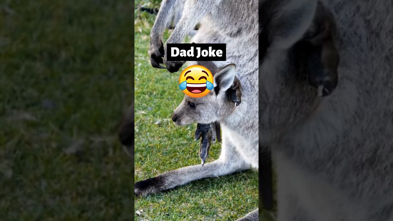 😆 Dad's Epic Joke! Brace Yourself for a Laughter Explosion! 