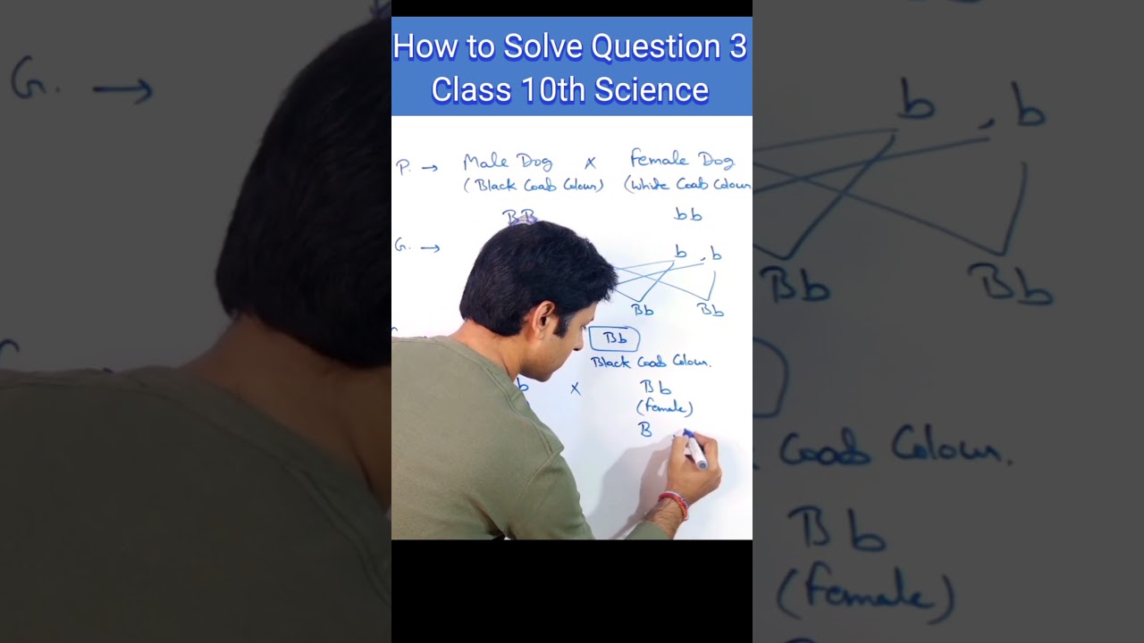 Heredity Made Simple for Class 10 Students 