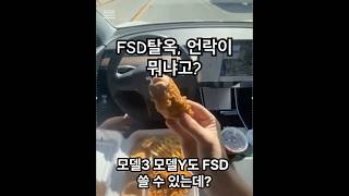 테슬라 FSD 한국에서 풀리기만을 하염없이 기다리는 모델3, 모델y 오너들 필수시청 영상