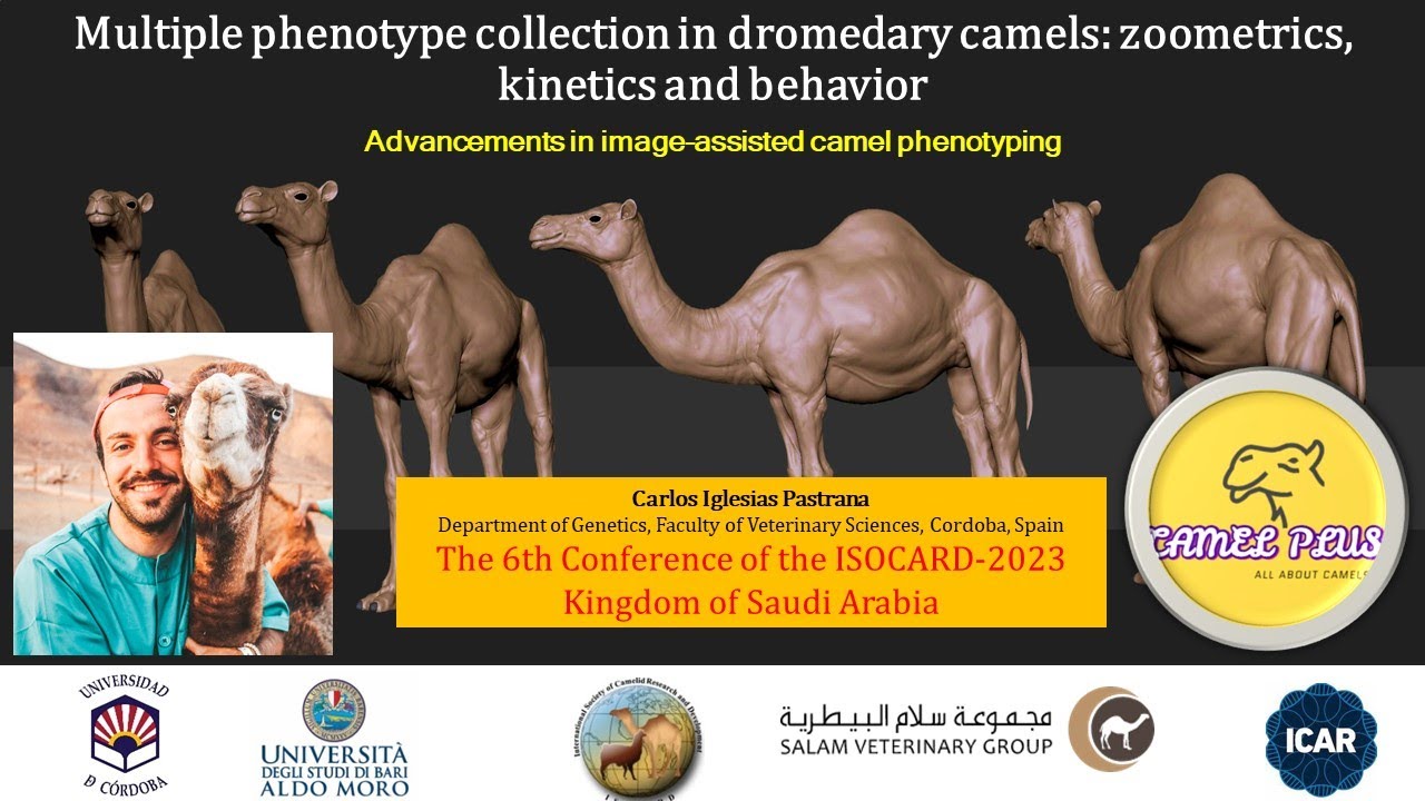 Advancements in image-assisted camel phenotyping by Carlos (6th ISOCARD)