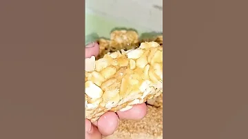 حلاوة المولد النبوي الشريف شيمو لاجمل الاكلات 