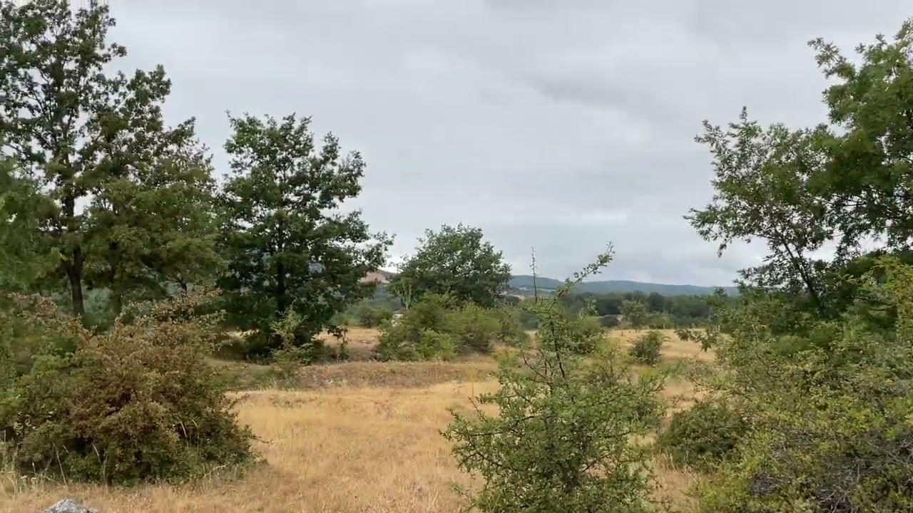 A Walk with Me in Gaia Land