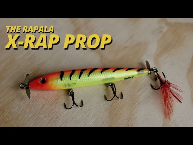 Rapala X-Rap 10 Deep | Dives 6-15 Feet