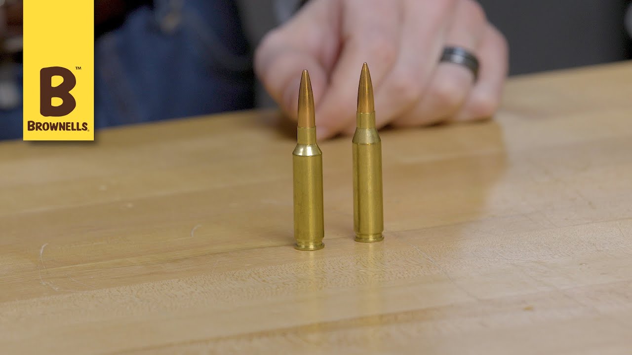 Quick Tip: 6.5 Creedmoor vs .260 Remington - YouTube.