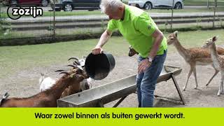 Zozijn Holten Ervedeijk