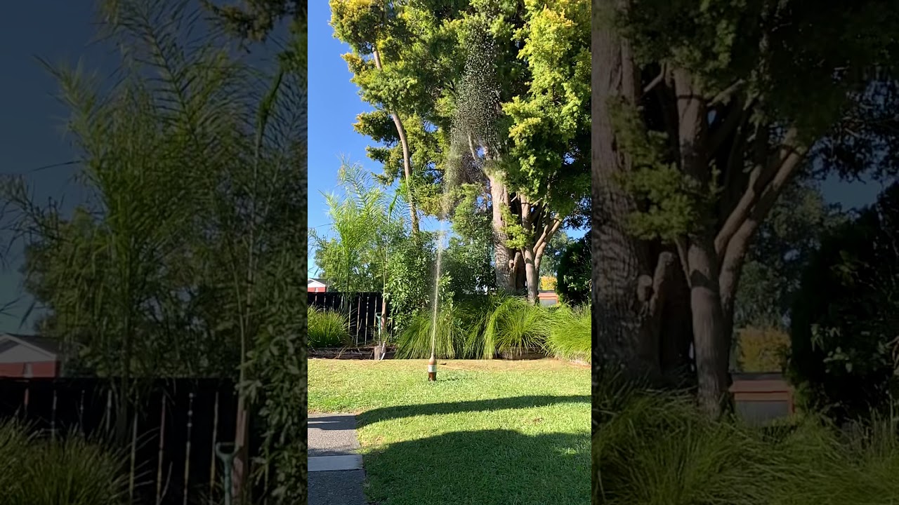 World Record! Biggest and highest Mentos & Coke explosion EVER! YouTube